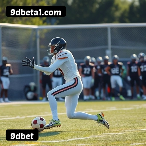 Vantagens exclusivas 9dbet para jogadores brasileiros - São Paulo, Rio, BH